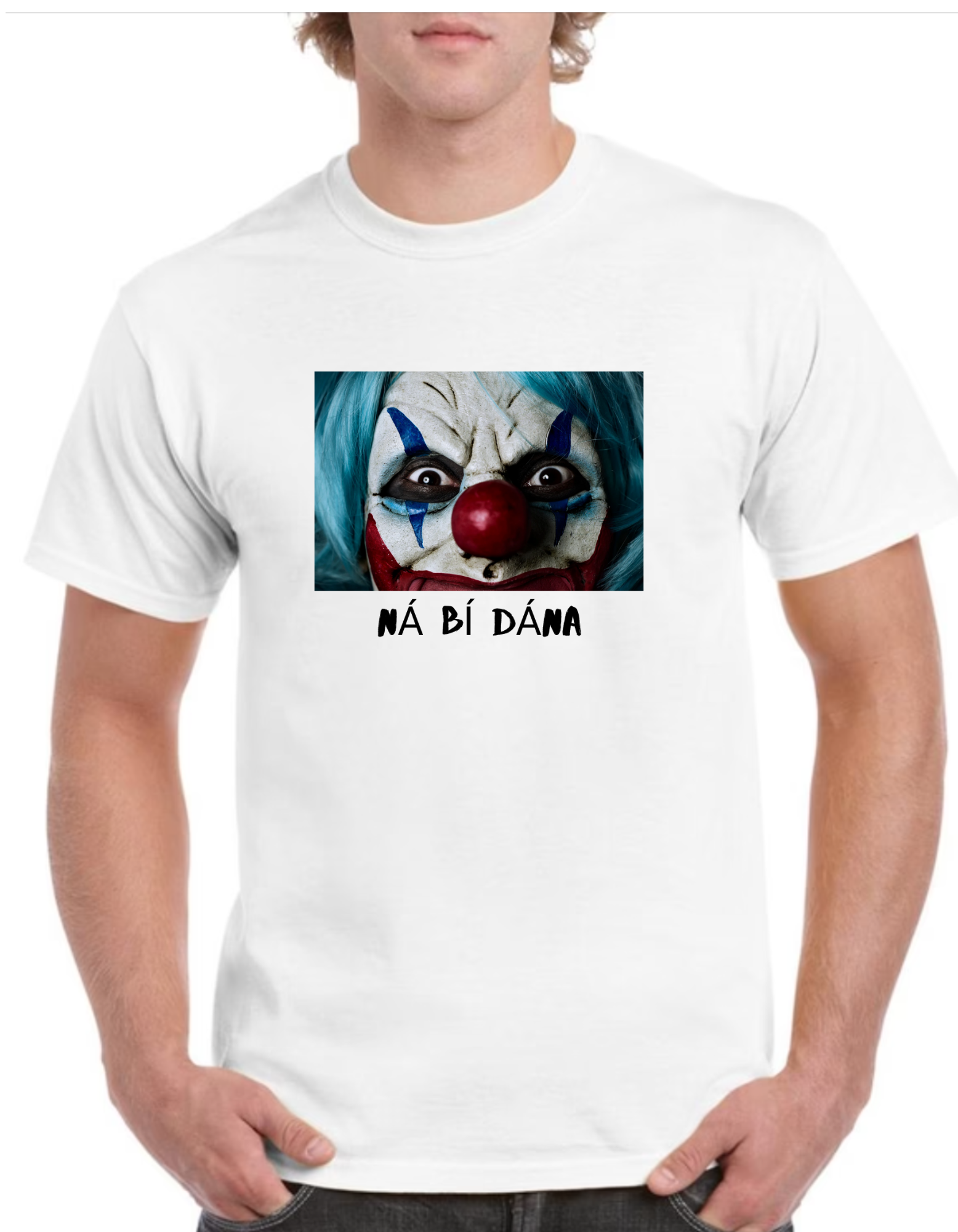 Ná bí Dána Mens Gaeilge t-shirt