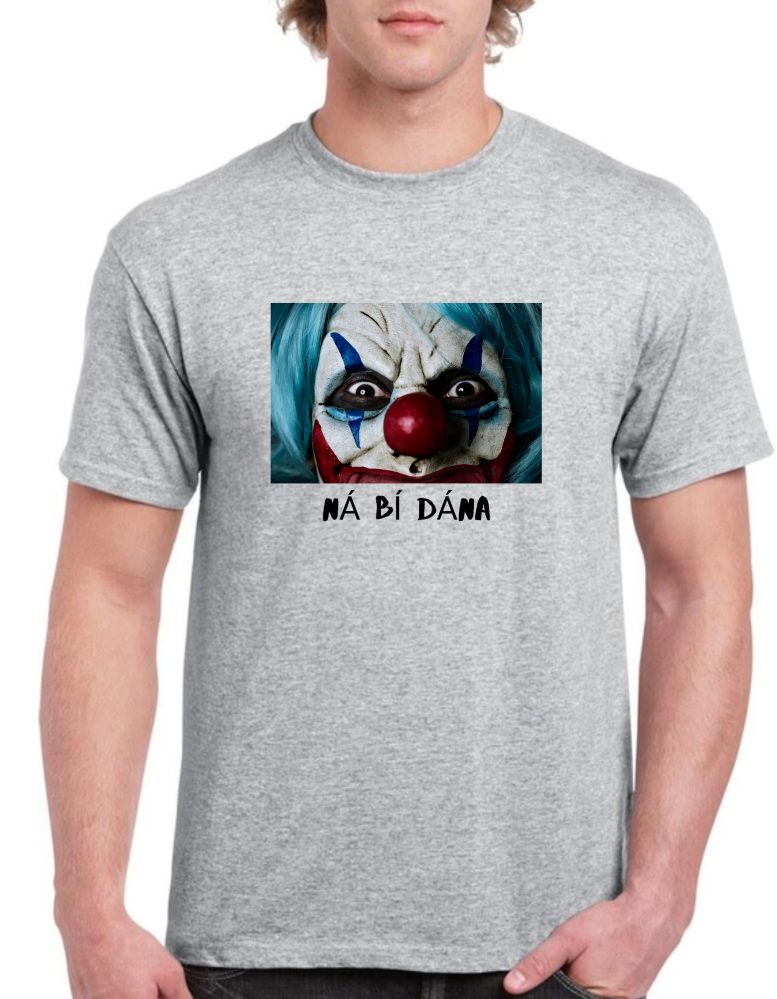 Ná bí Dána Mens Gaeilge t-shirt