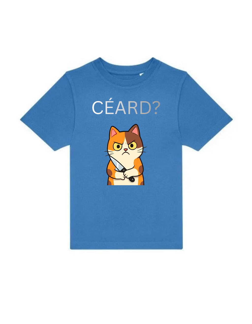Ceard Gaeilge kids t-shirt