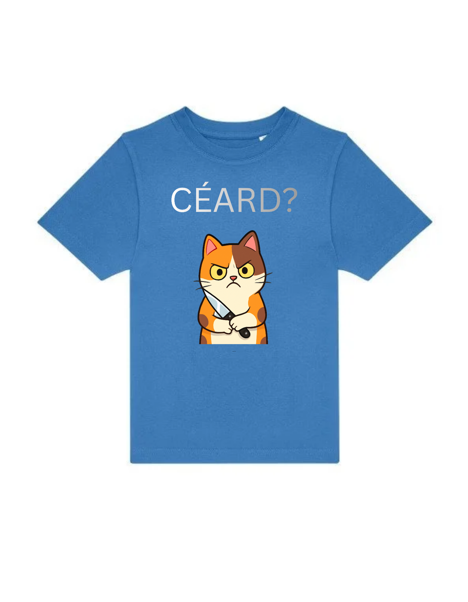 Ceard Gaeilge kids t-shirt