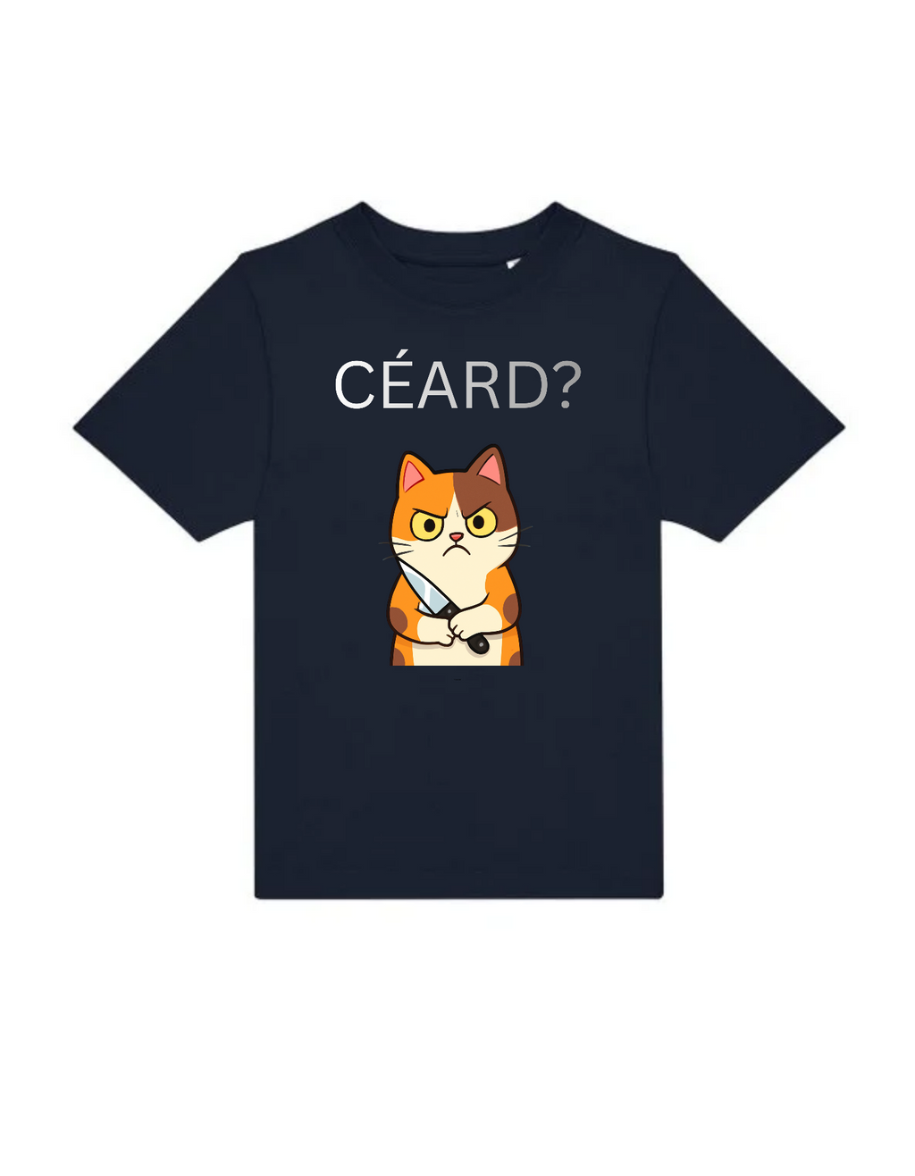 Ceard Gaeilge kids t-shirt