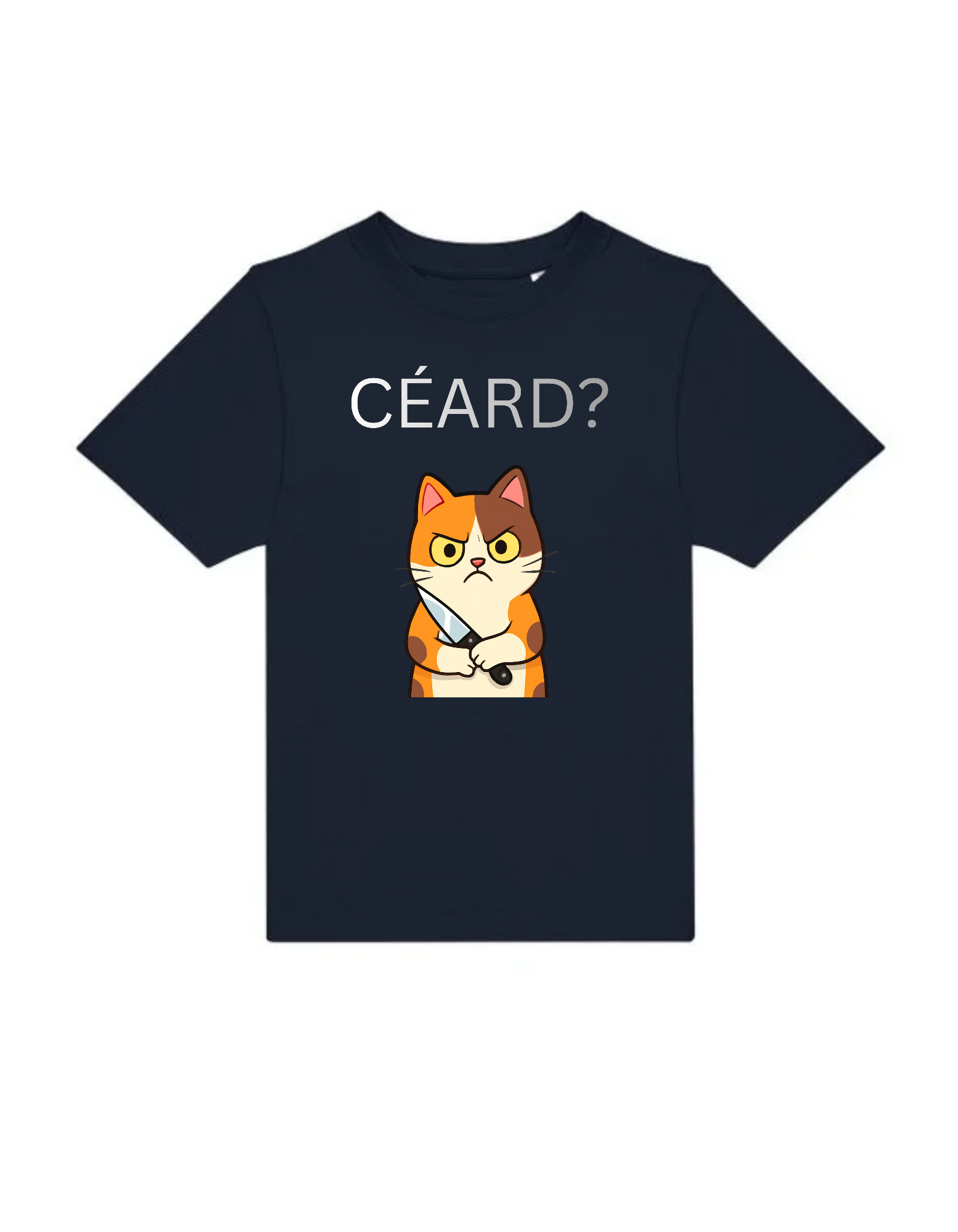 Ceard Gaeilge kids t-shirt