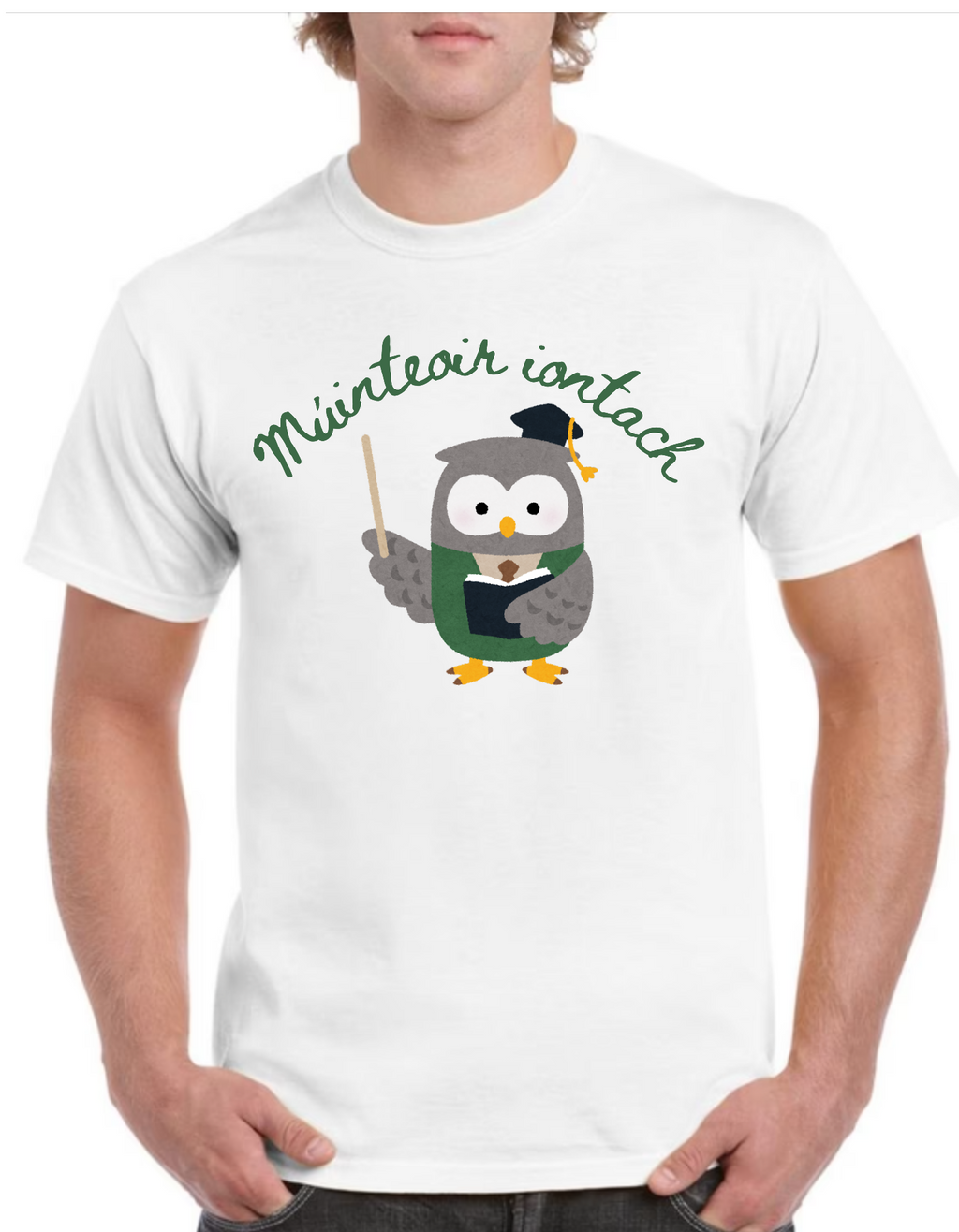 Múinteoir iontach Mens cotton t-shirt